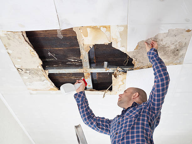 Best Residential Mold Inspection & Testing  in Milford, PA